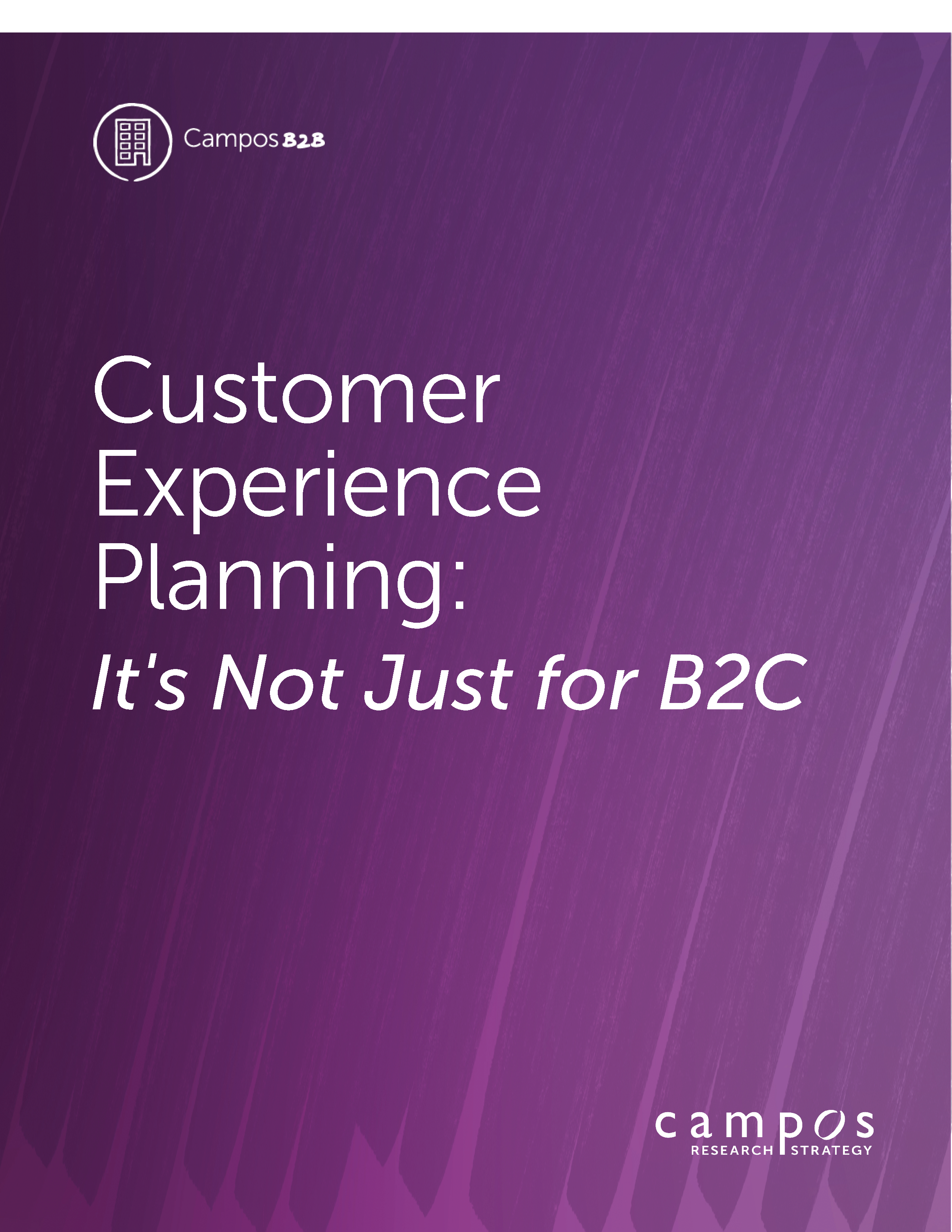 B2B-Customer-Experience-Planning-Cover